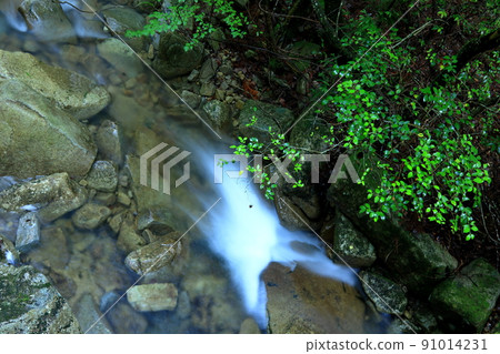 Noro River with beautiful water flow and greenery Noro River with beautiful water flow and greenery 91014231