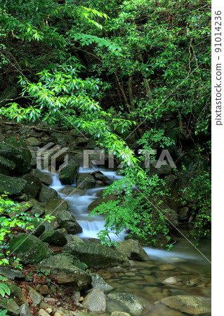 Noro River with beautiful water flow and greenery Noro River with beautiful water flow and greenery 91014236