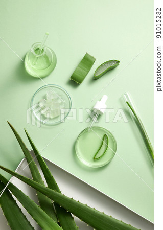 Aloe vera extract research in laboratory with a petri dish dropper in light green background for aloe vera research advertising , photography science content , top view 91015282