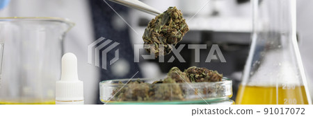 Glass container with marijuana buds on it placed for laboratory investigation 91017072