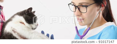 Veterinarian woman examine domestic pet with stethoscope tool listen to heartbeat 91017147