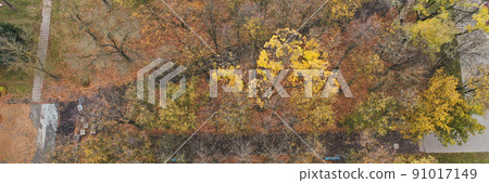 Green area from building, green trees with golden leaves in autumn season Green area from building, green trees with golden leaves in autumn season 91017149
