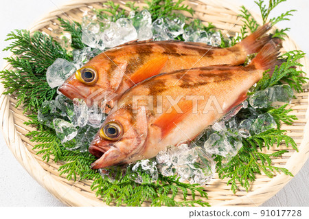Fresh rockfish 91017728