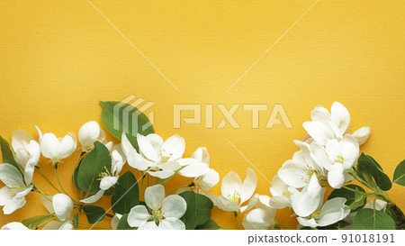 Blossoming apple tree branch on a yellow background. Top view with place for text. Summer concept with copy space. 91018191