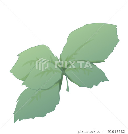 Bachuri [Aroma] 91018382