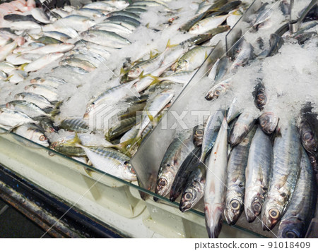 Close-up view of the variety fishes selling in the market. 91018409