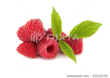 Raspberry berries isolated on white background Raspberry berries isolated on white background 91018779