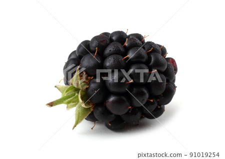 Blackberry isolated on white 91019254