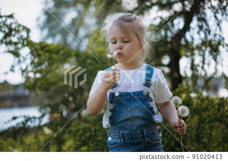 Pretty little girl blowing off dandelion seeds on sunset in summer park. Image with selective focus Pretty little girl blowing off dandelion seeds on sunset in summer park. Image with selective focus 91020413