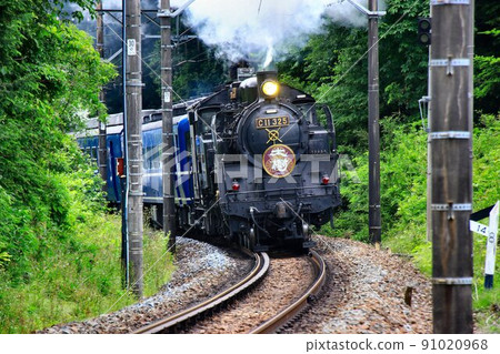 穿過新鮮的綠色隧道......在鬼怒川路上努力奔跑的SL Taiki 穿過新鮮的綠色隧道......在鬼怒川路上努力奔跑的SL Taiki 91020968