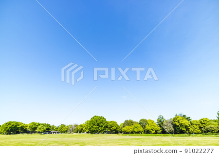 與綠色和藍天的風景 91022277