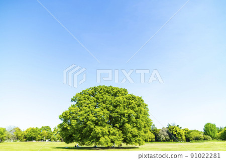Landscape with green and blue sky Landscape with green and blue sky 91022281