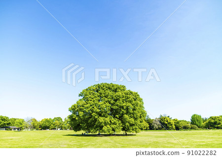 與綠色和藍天的風景 與綠色和藍天的風景 91022282