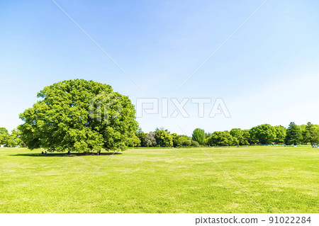 Landscape with green and blue sky 91022284