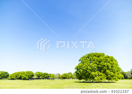 與綠色和藍天的風景 與綠色和藍天的風景 91022287