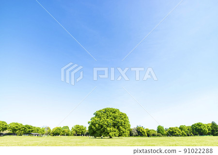 與綠色和藍天的風景 與綠色和藍天的風景 91022288