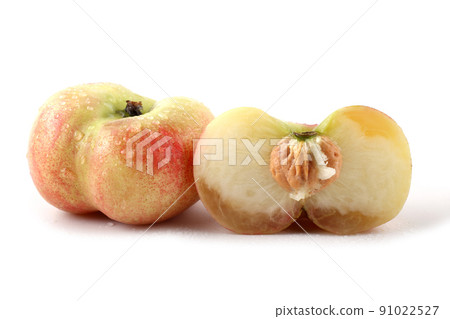 Flat peach (doughnut peach, donut peach, UFO peach, peento peach, saucer peach). Ancient Chinese variety "Pan tao". Delicacy 91022527