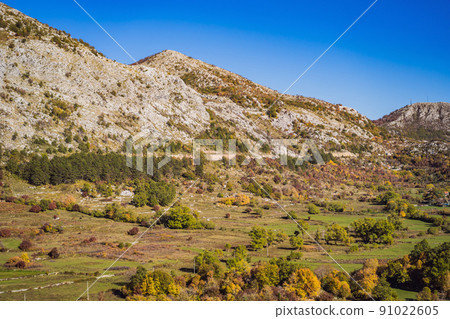 Beautiful autumn view on the yellow trees, Montenegro 91022605