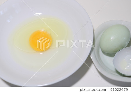 Blue egg Blue egg Blue egg that brings happiness Araucana egg 1.2 Blue egg Blue egg Blue egg that brings happiness Araucana egg 1.2 91022679