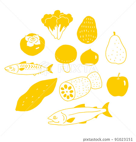 Vector illustration of autumn season ingredients Vector illustration of autumn season ingredients 91023151