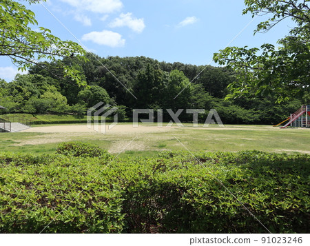 Seishin Central Park, Kobe City, Nishi-ku, Park, Spring June Seishin Central Park, Kobe City, Nishi-ku, Park, Spring June 91023246