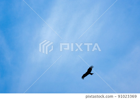 Kombies flying in the sky 91023369