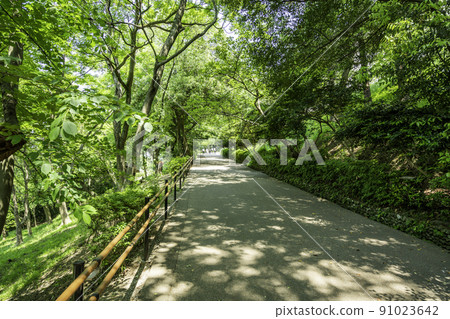 Marugame Castle Return Slope, Marugame City, Kagawa Prefecture 91023642