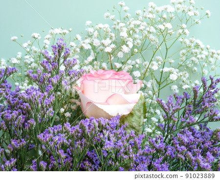 Pink rose with purple white flowers on pastel green background Pink rose with purple white flowers on pastel green background 91023889
