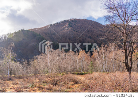（長野縣）融雪的乘倉高原一之瀨地 91024183