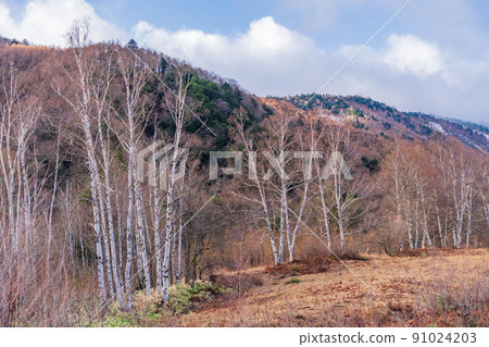 (Nagano Prefecture) Norikura Kogen Ichinoseenchi where the snow melts (Nagano Prefecture) Norikura Kogen Ichinoseenchi where the snow melts 91024203