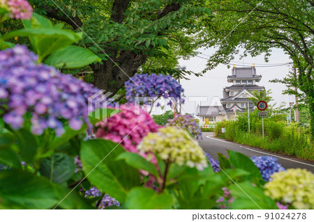Sunomata Ichiya Castle, Hydrangea in full bloom <Ogaki City, Gifu Prefecture> 91024278