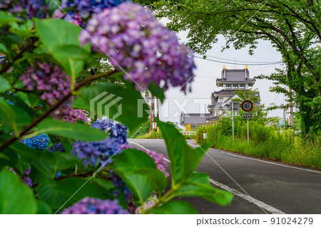 Sunomata Ichiya Castle, Hydrangea in full bloom <Ogaki City, Gifu Prefecture> 91024279