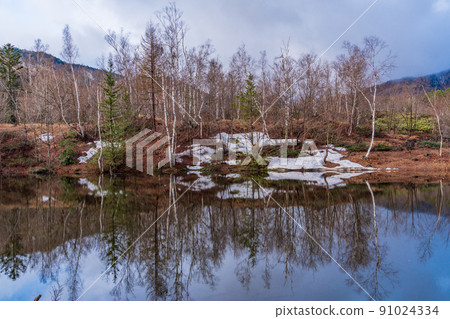 (Nagano Prefecture) Norikura Kogen, Ichinoseenchi, Maime no Ike, where the snow melts (Nagano Prefecture) Norikura Kogen, Ichinoseenchi, Maime no Ike, where the snow melts 91024334