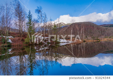 (Nagano Prefecture) Norikura Kogen, Ichinoseenchi, Maime no Ike, where the snow melts 91024344