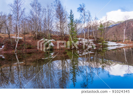 (Nagano Prefecture) Norikura Kogen, Ichinoseenchi, Maime no Ike, where the snow melts (Nagano Prefecture) Norikura Kogen, Ichinoseenchi, Maime no Ike, where the snow melts 91024345