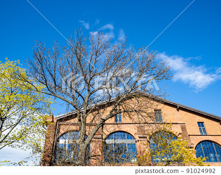 blue sky over brick building and blossoming trees 91024992