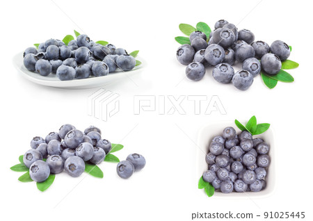 Set of fresh whortleberry close-up isolated on white background Set of fresh whortleberry close-up isolated on white background 91025445