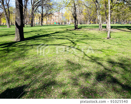 green lawn in Alexander Garden in St Petersburg green lawn in Alexander Garden in St Petersburg 91025540