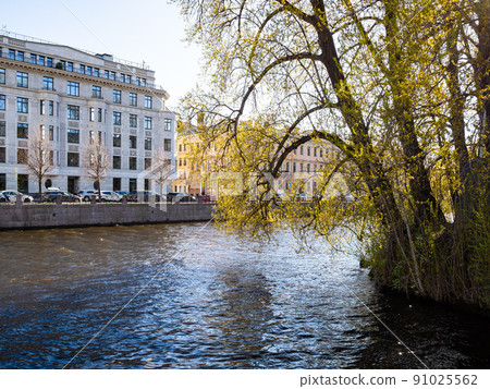 tree over Moyka river in St Petersburg in spring 91025562