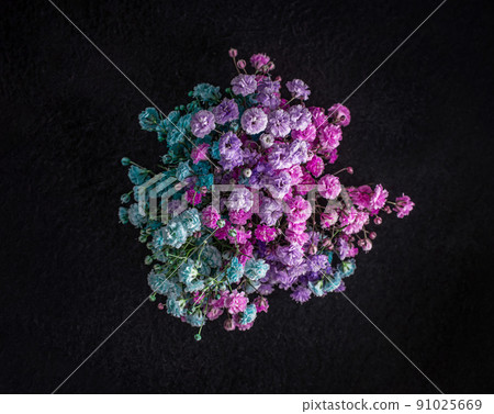 Top view of a flower on black background. Macro shoot. Top view of a flower on black background. Macro shoot. 91025669