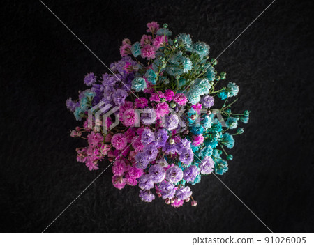 Beautiful flower on a black background. Decorative flowers. 91026005