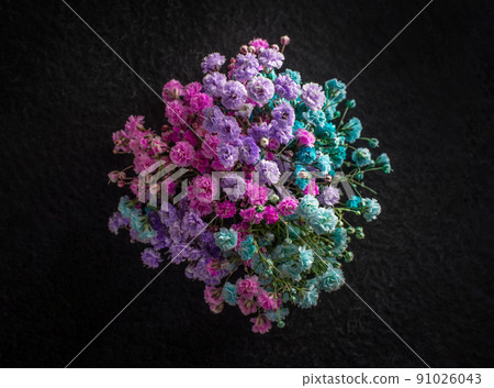 Beautiful flower on black background. Macro shoot. 91026043