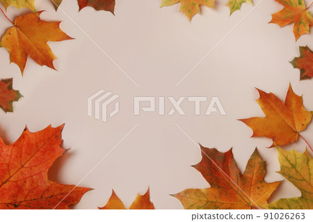 Frame of colorful red and yellow autumn leaves with cones and rowan berries on trendy beige background. First day of school, back to school, fall concept. Frame of colorful red and yellow autumn leaves with cones and rowan berries on trendy beige background. First day of school, back to school, fall concept. 91026263