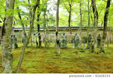 夏天的青楓名勝Hogonin庭園 夏天的青楓名勝Hogonin庭園 91026333