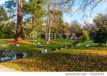 Malmsbury Botanic Gardens in Victoria Australia 91026505