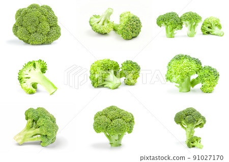 Set of broccoli cabbage on a isolated white background 91027170