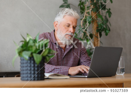adult business man with gray hair is working at a laptop in his office. career finance and marketing, senior executive lawyer or financier in the company adult business man with gray hair is working at a laptop in his office. career finance and marketing, senior executive lawyer or financier in the company 91027389