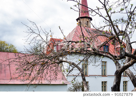 old tree and Priory Palace in spring in Gatchina 91027879