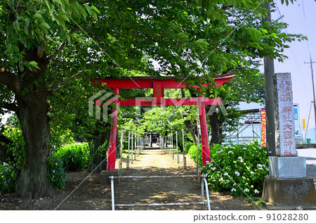 群馬縣伊勢崎市下淵大黑神社 91028280