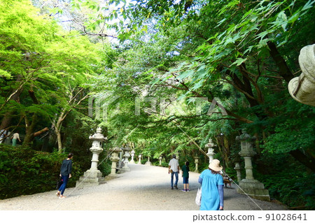 Katori Jingu Shrine entrance 91028641